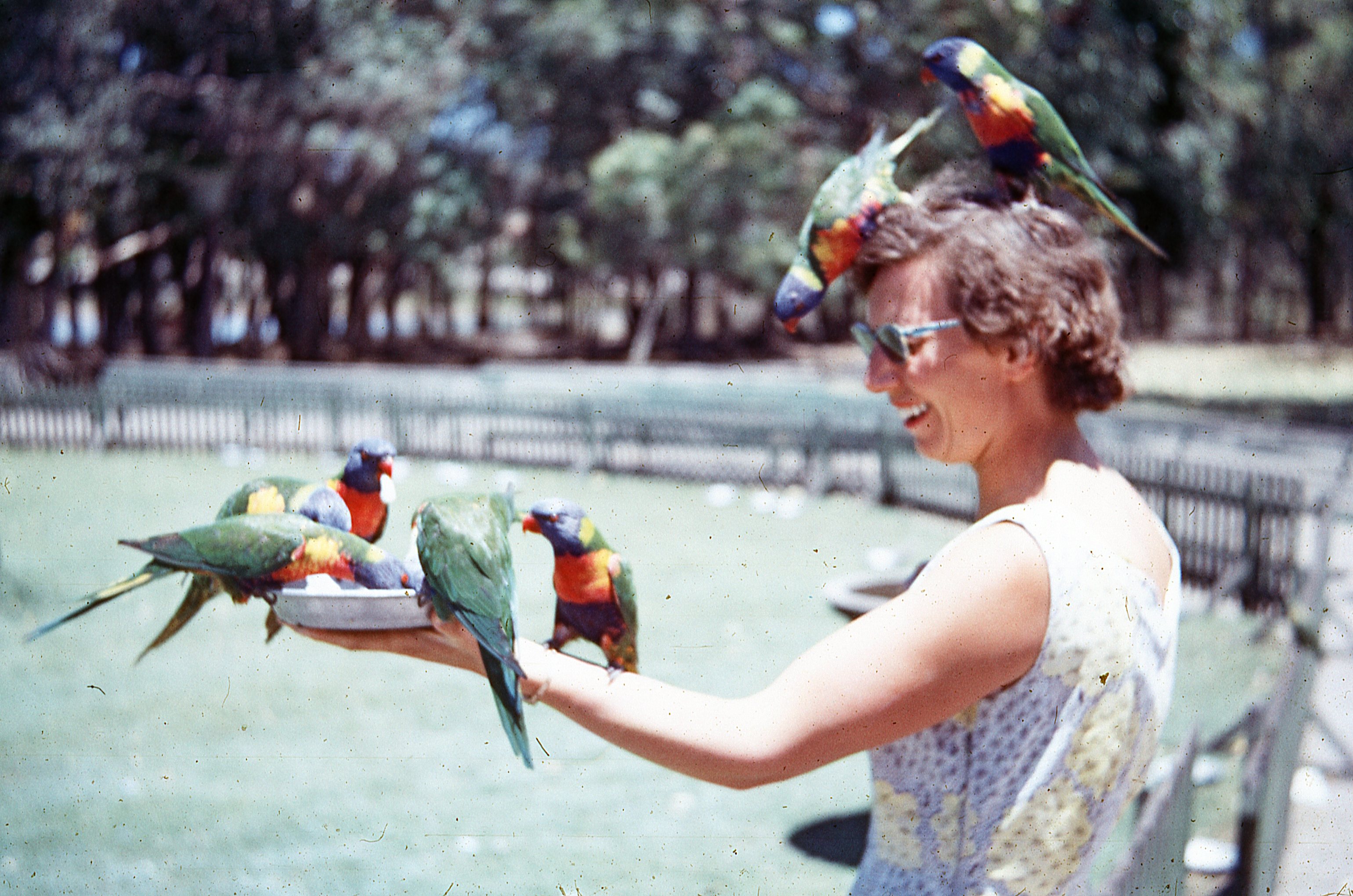 Joan with Rainbow Lorikeets