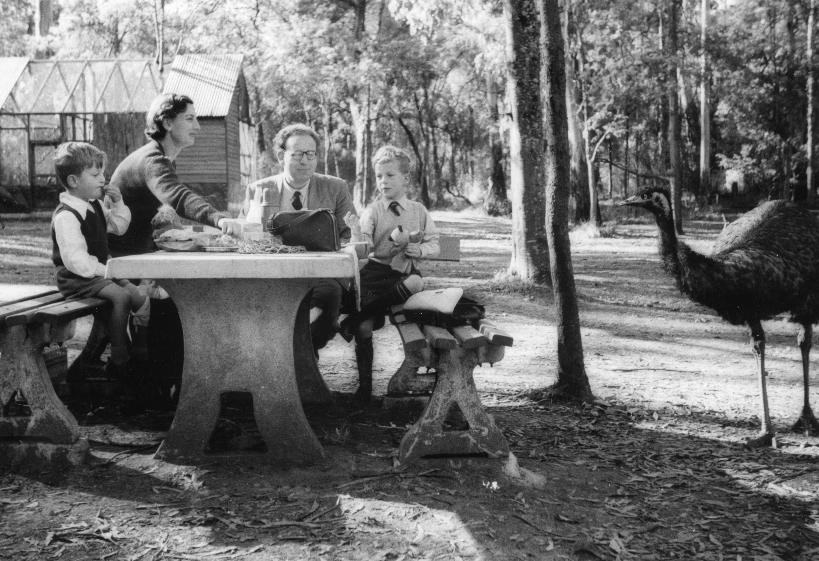 Family picnic at Healsville Animal Sanctuary