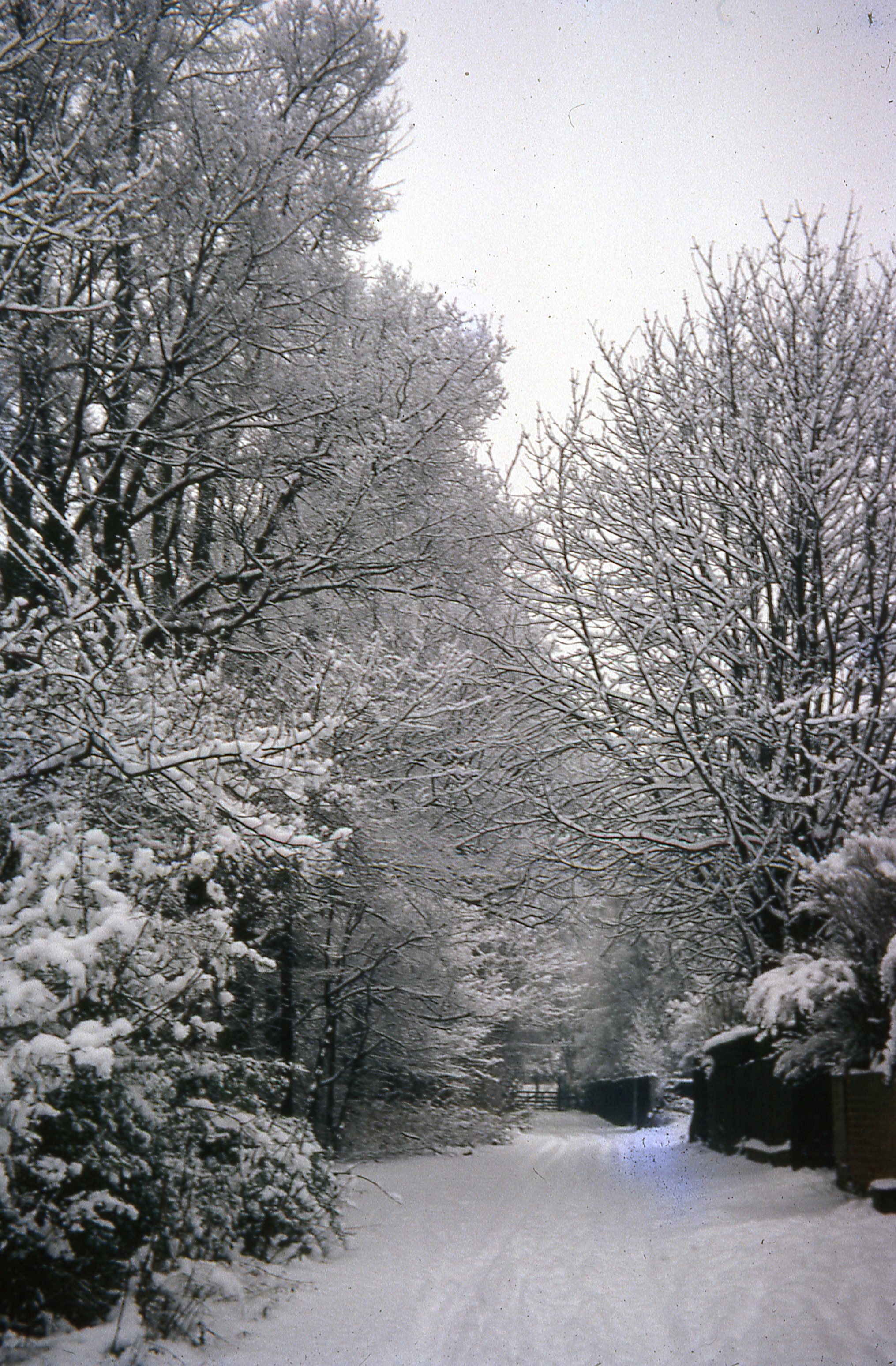 Homefield Road in snow, December 1962