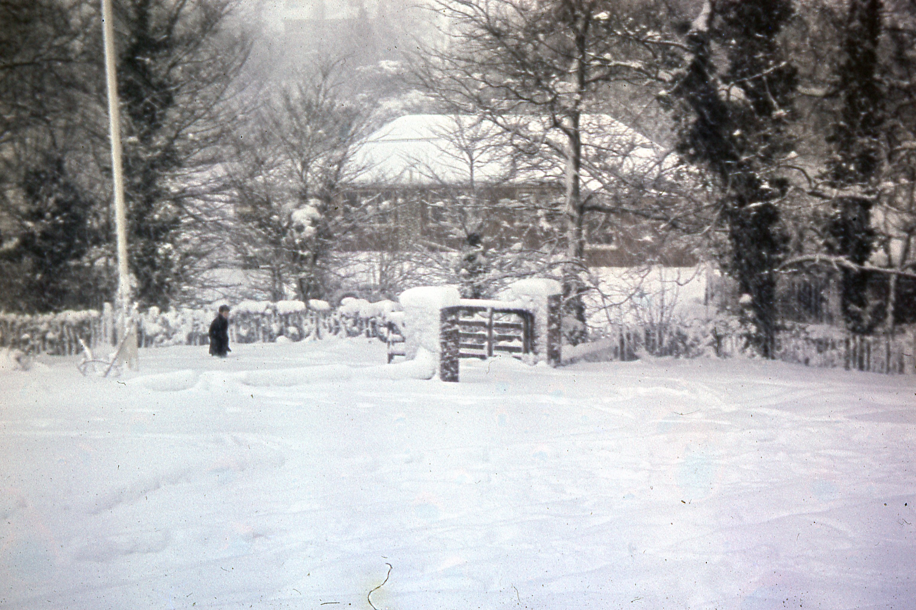 Cooinda from the scout hut, January 1962