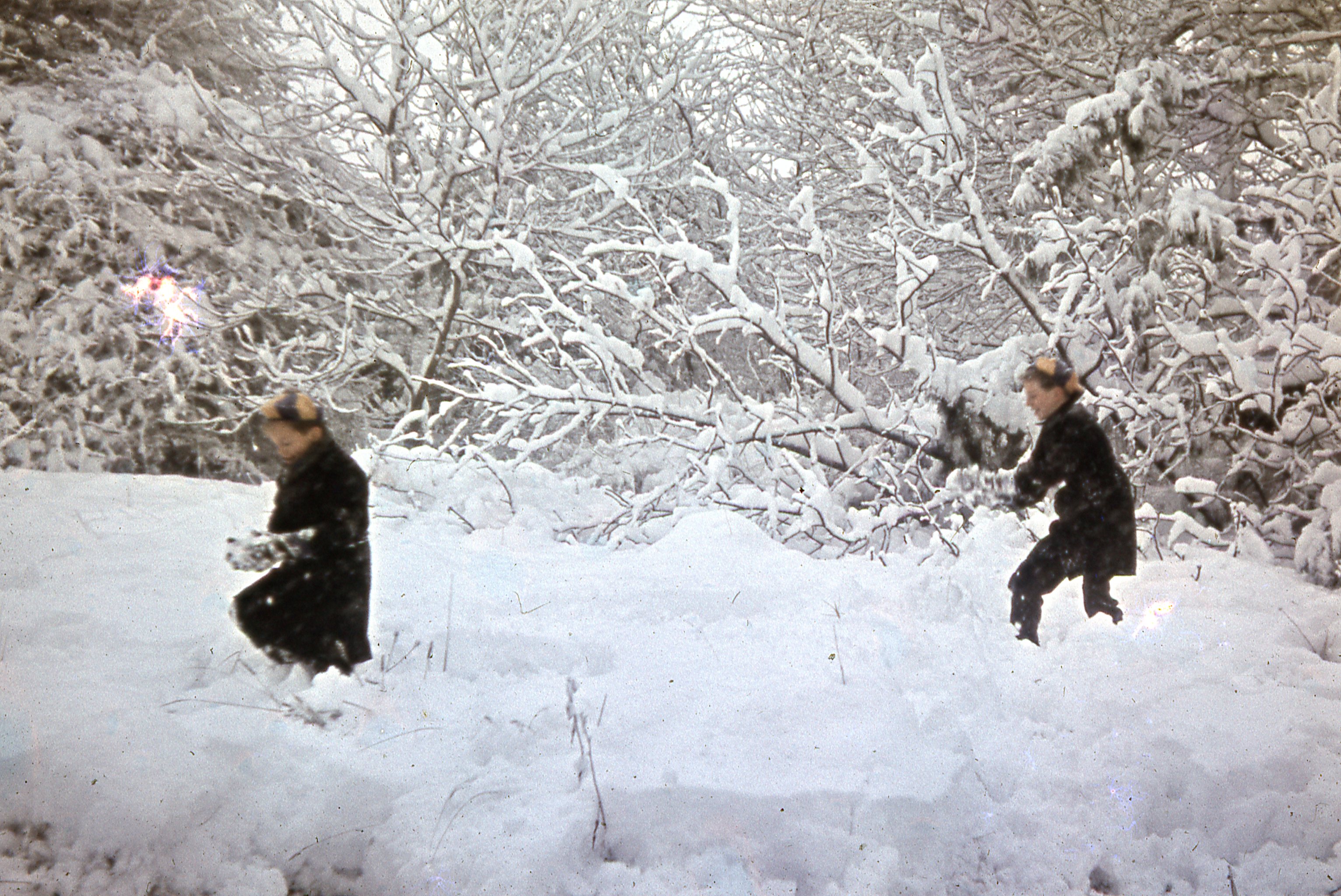 Paul & Graham enjoy a snowball fight, January 1962