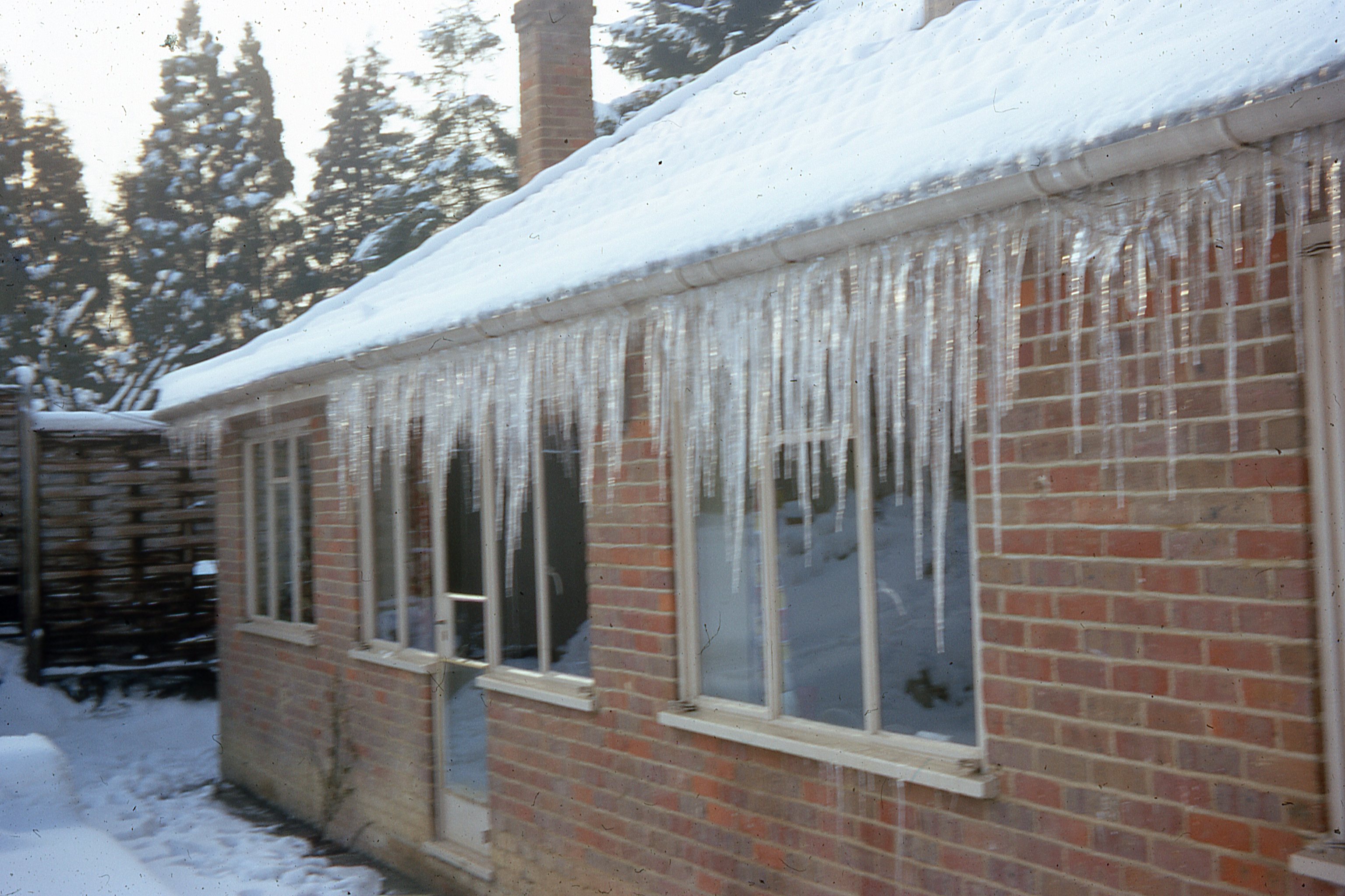 Icicles in the snow, February 1968