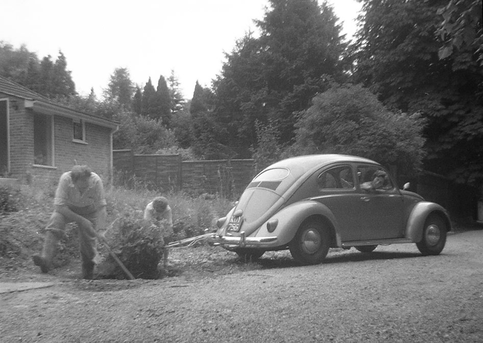 Removing tree-root - Joan driving, spring 1961