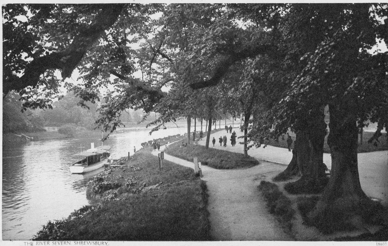 The River Severn, Shrewsbury (#18603)