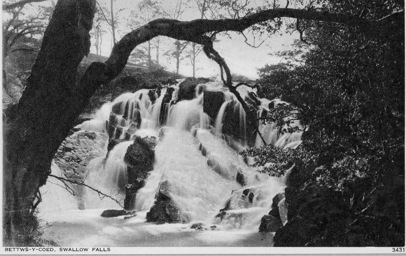 Bettws-y-Coed, Swallow Falls (#3431)