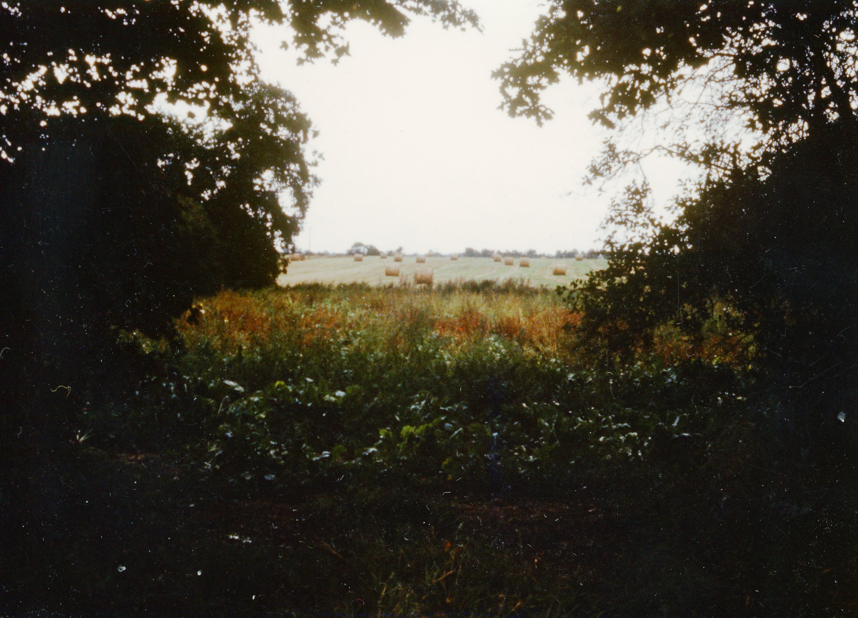 Site of John Spurgeon's cottage owned by Little Ellingham town, in Common Lane
