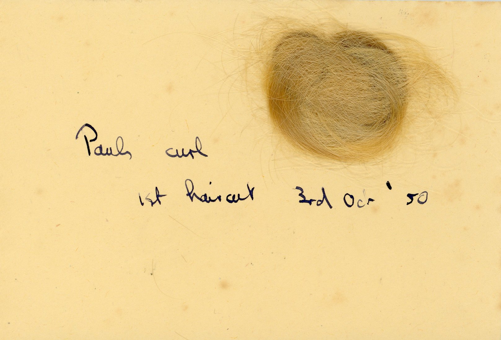 Paul's curl, 1st hair cut 3rd October 1950