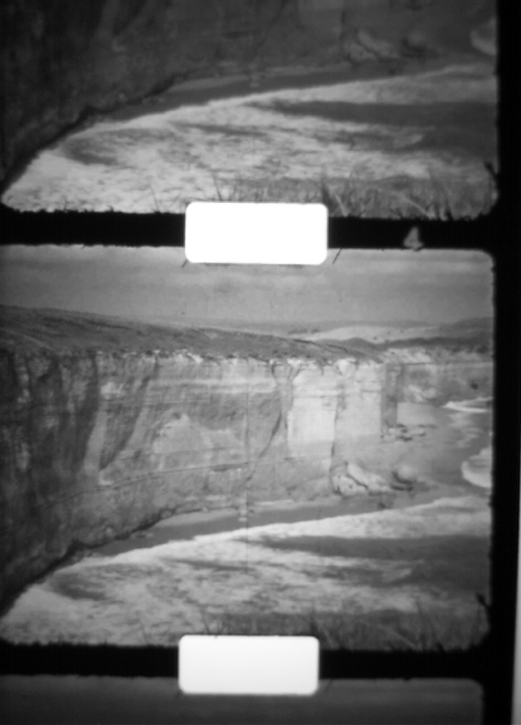 Gray scale raw image