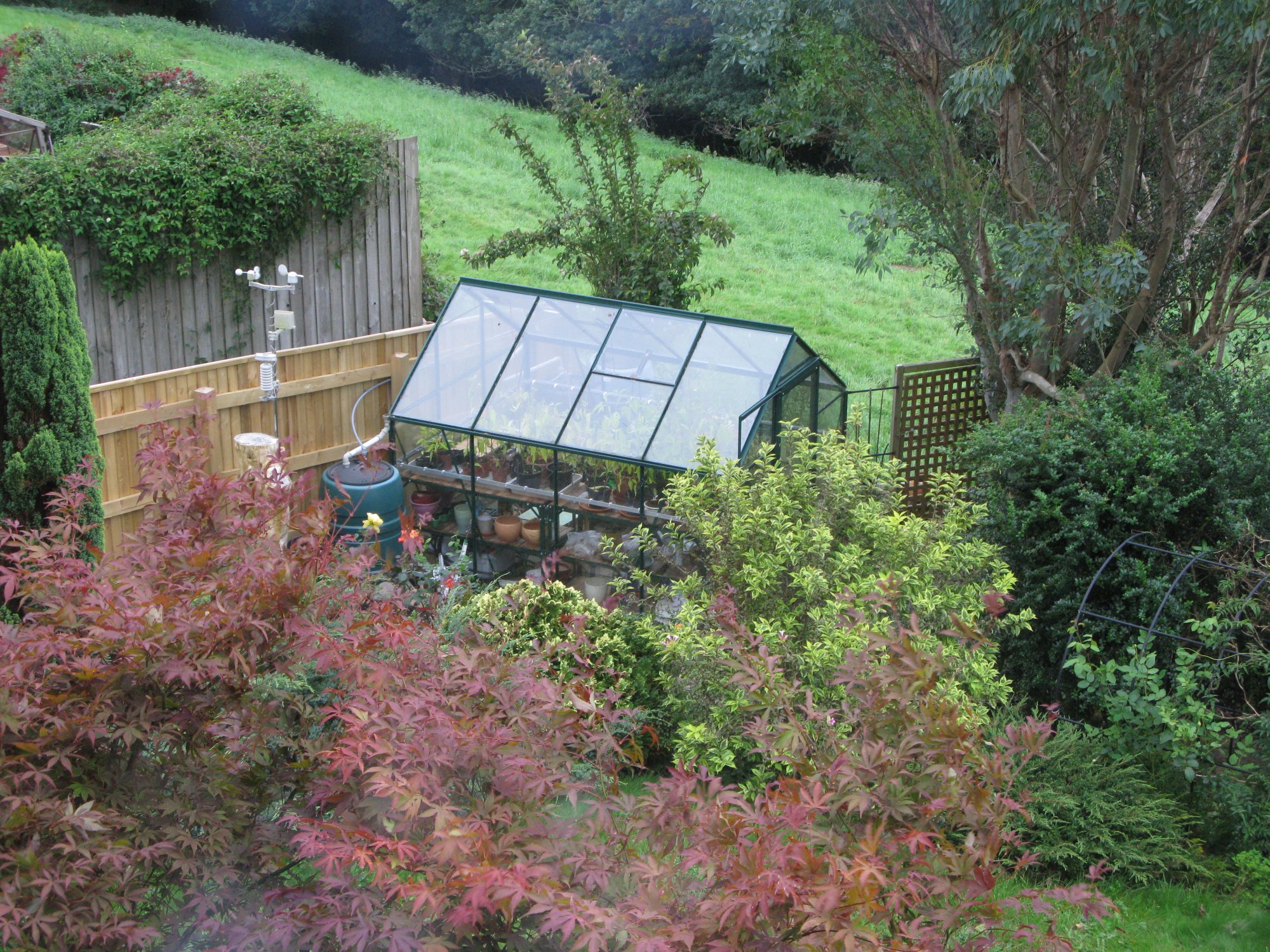 Greenhouse watering system