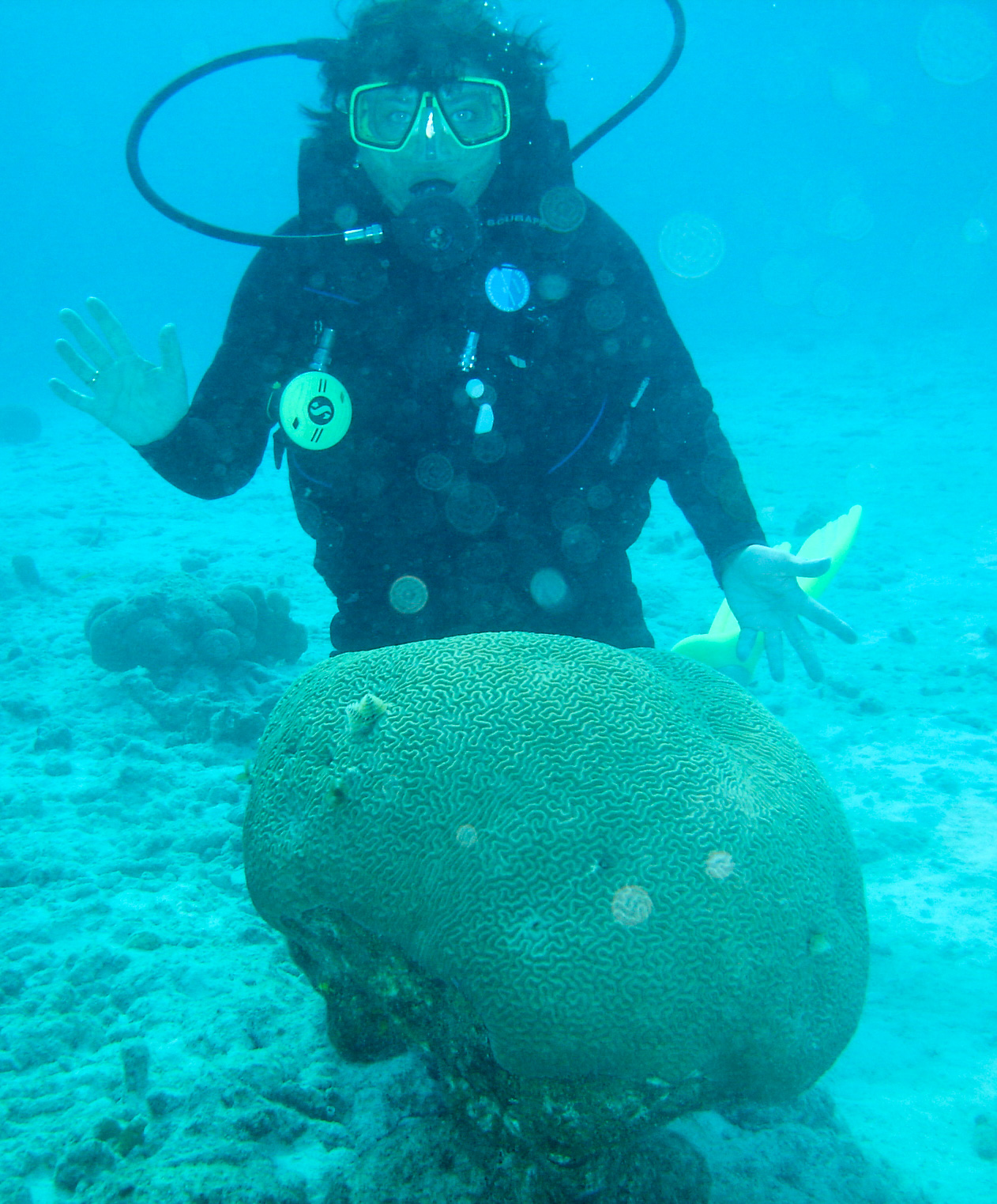 Irina & Brain Coral