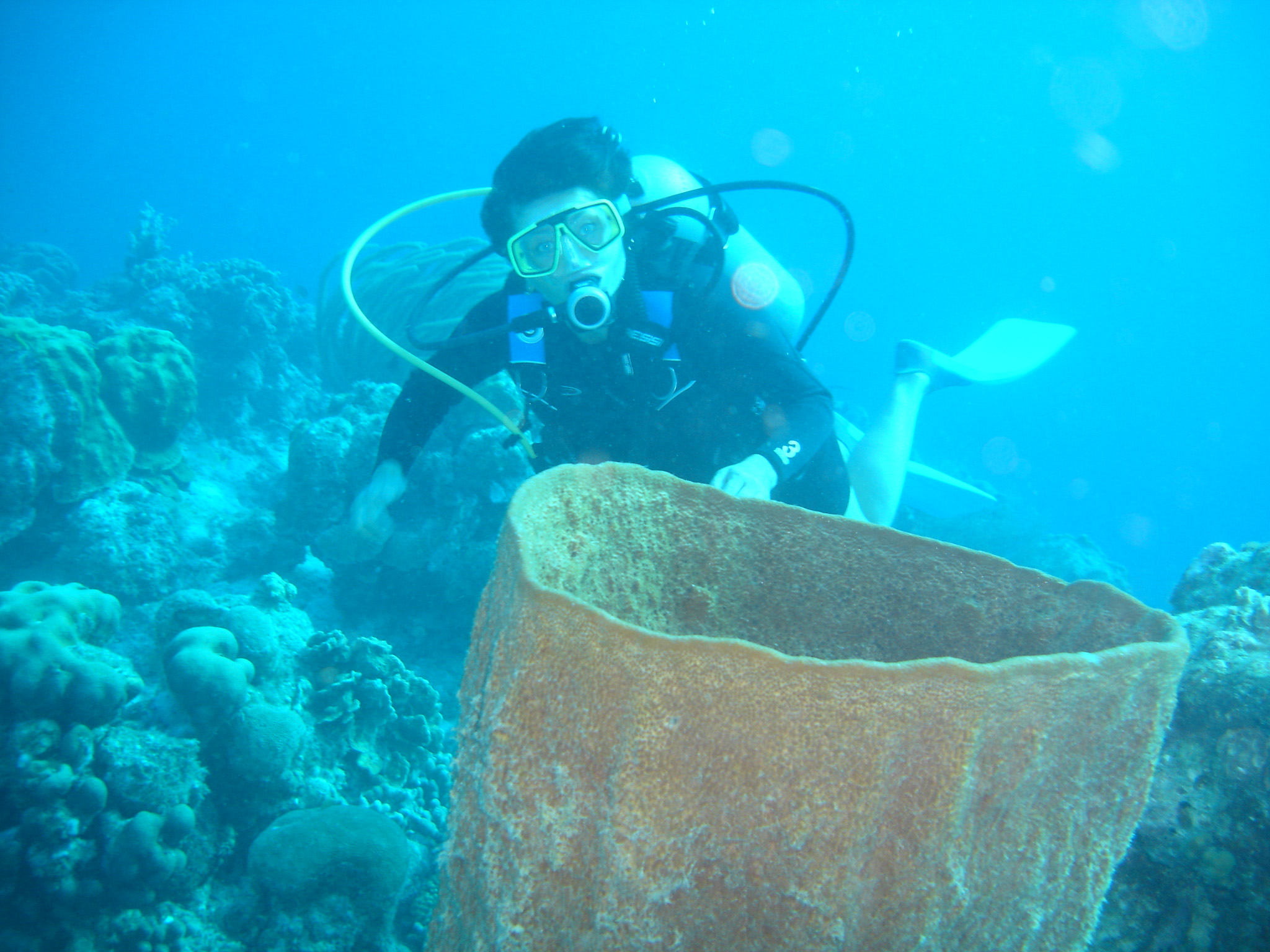 Irina & large basket sponge