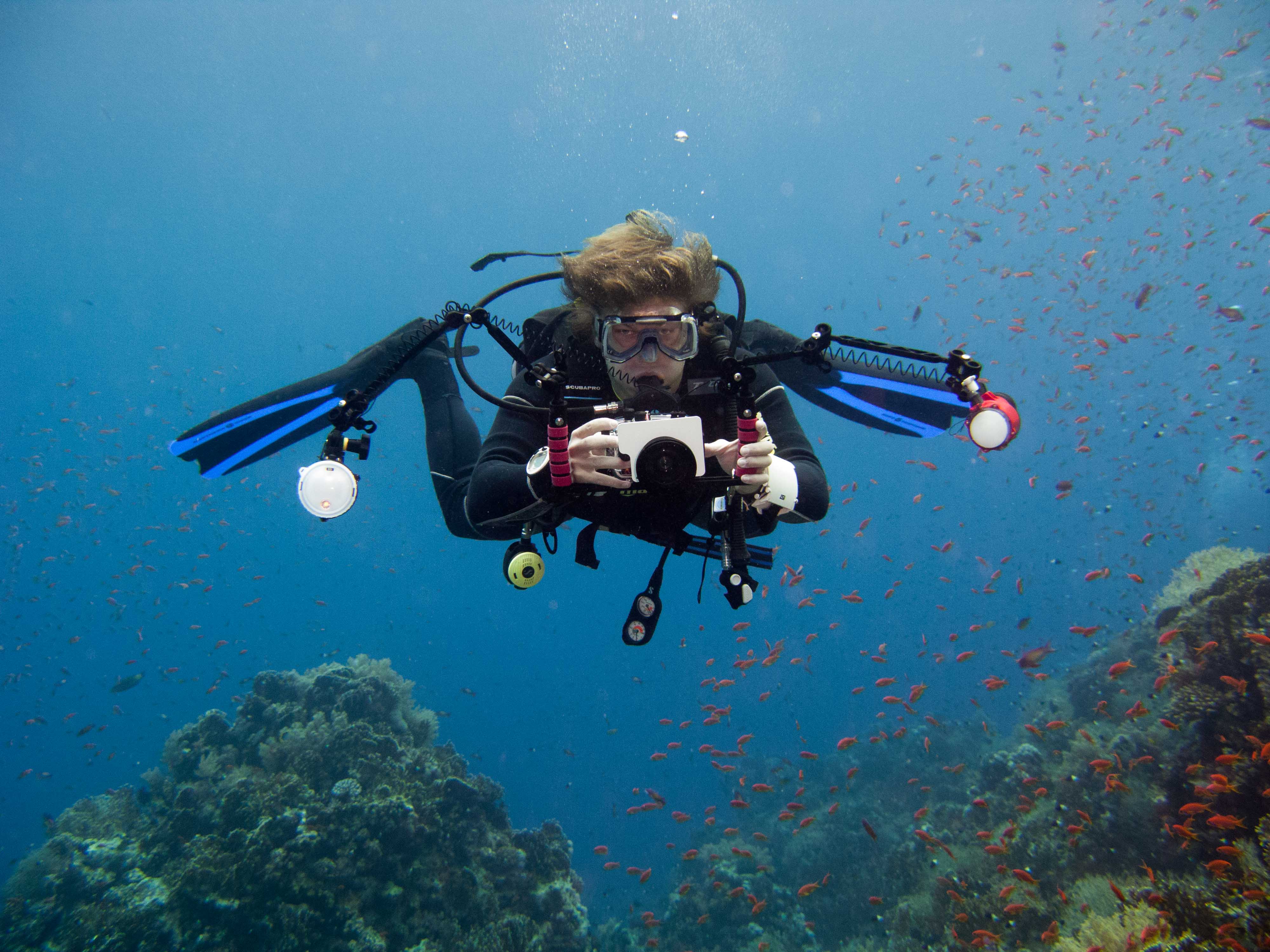 Bertie Gregory Bertie Gregory