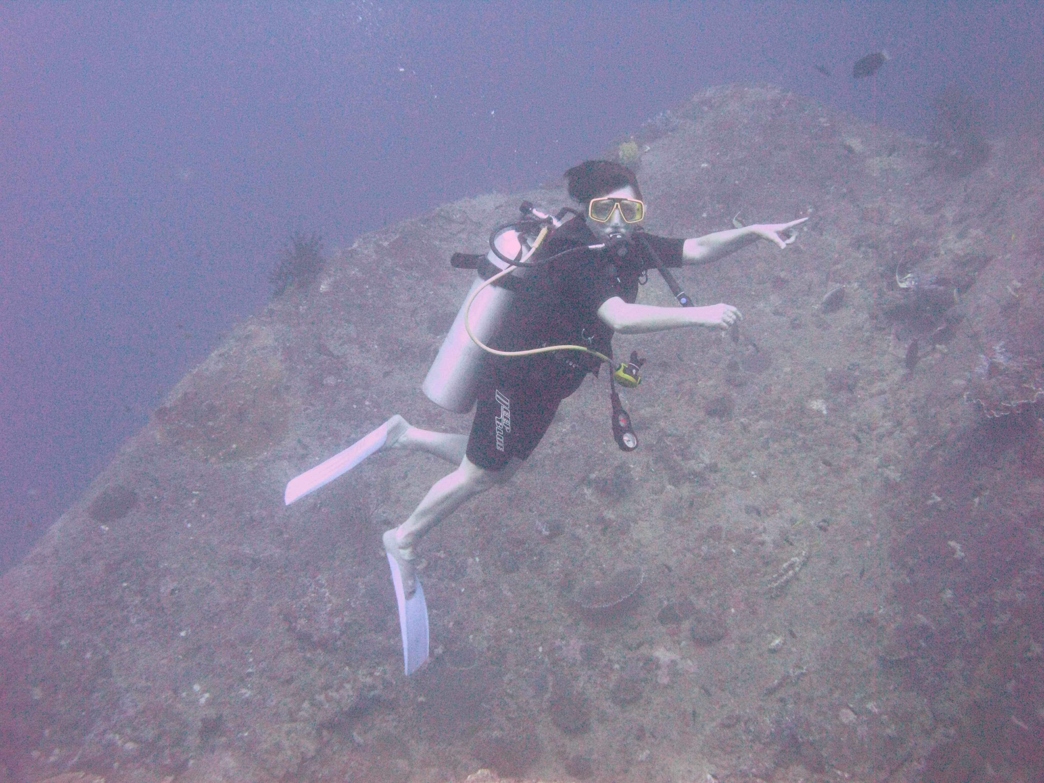 Irina spots Leopard sharks
