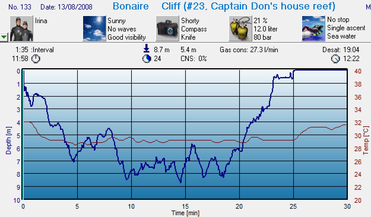 Dive 133 profile