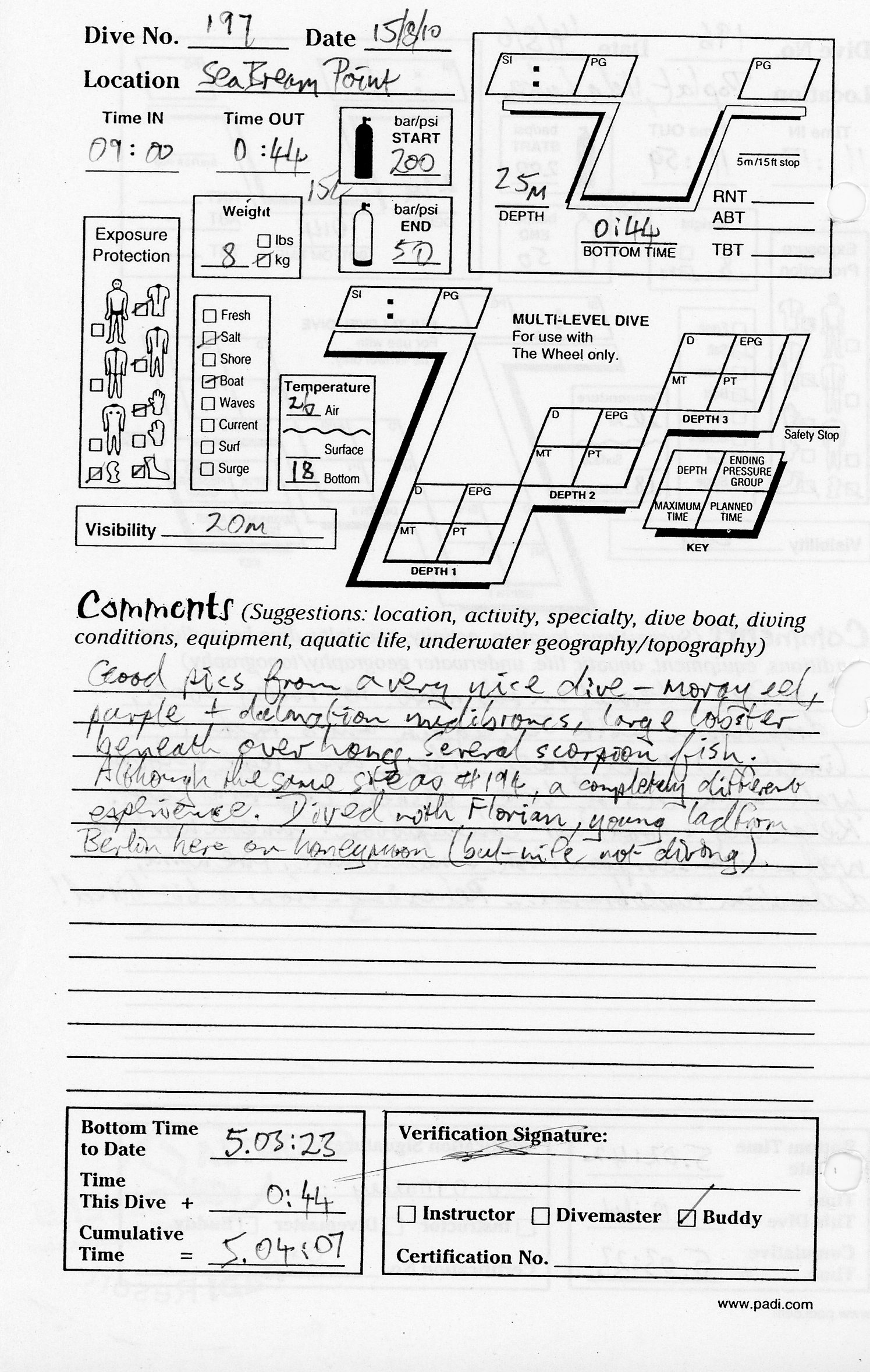 Dive 197 log