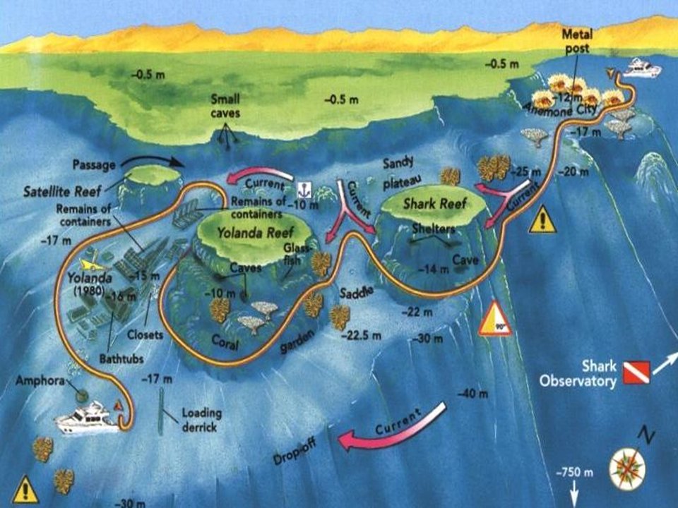 Shark Reef & Yolanda Reef dive plan Shark Reef & Yolanda Reef dive plan