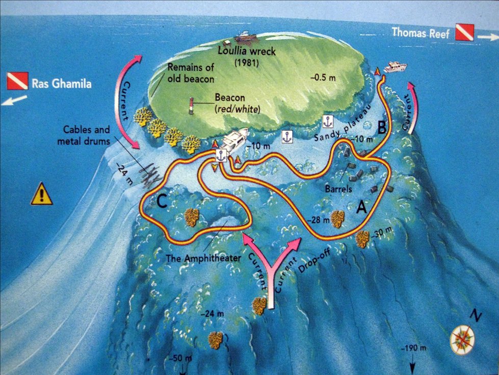 Gordon Reef dive plan