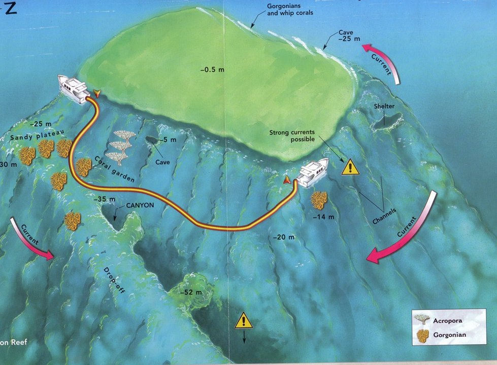Thomas Reef dive plan