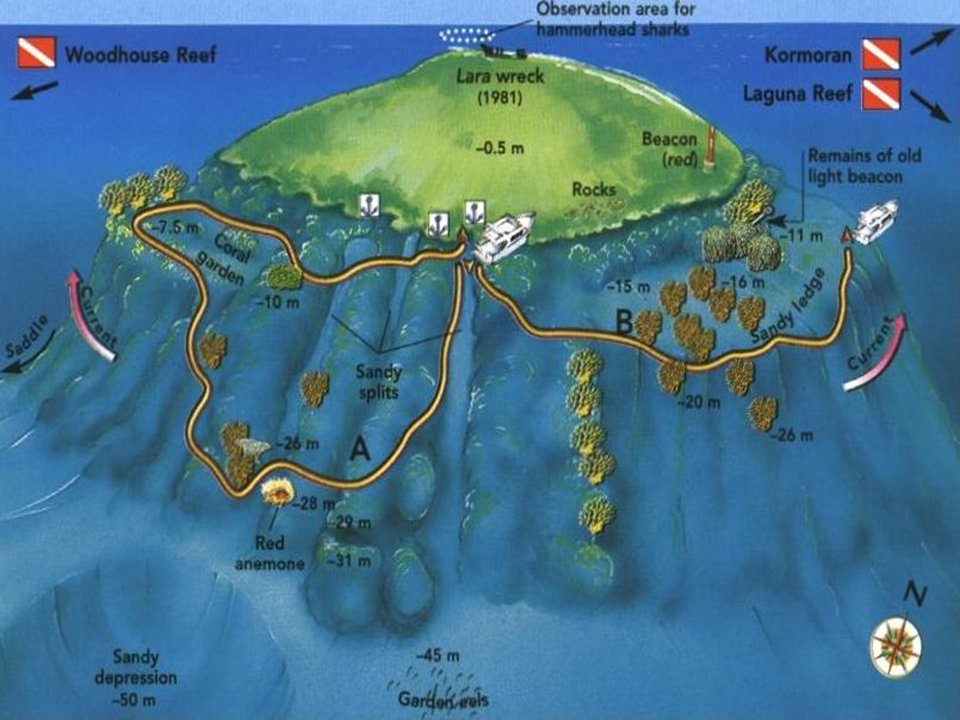 Jackson Reef dive plan