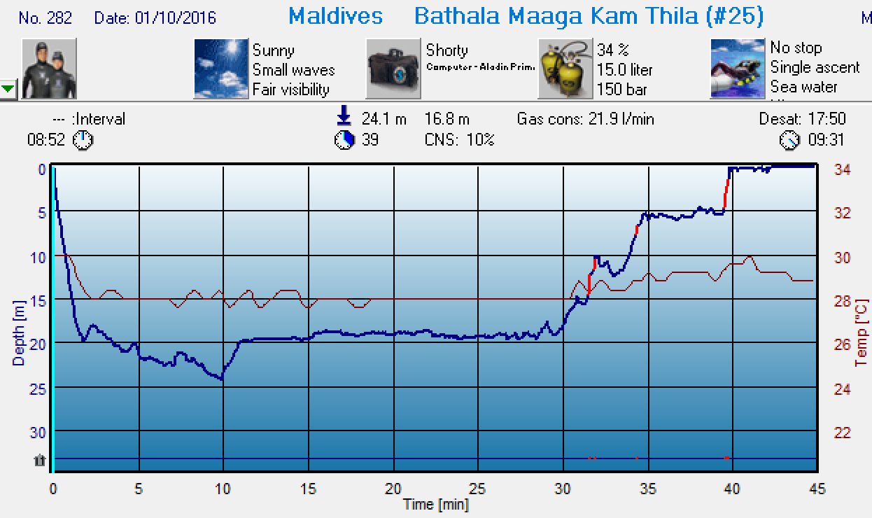 Dive 281 profile Dive 281 profile
