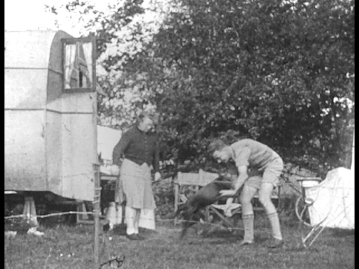 Animal Antics (1940-1959)